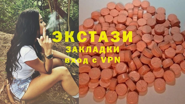 дмт Переславль-Залесский