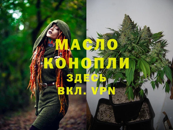 дмт Переславль-Залесский