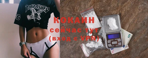 дмт Переславль-Залесский