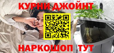 твердый Бийск