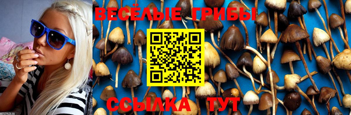 Псилоцибиновые грибы GOLDEN TEACHER Ржев