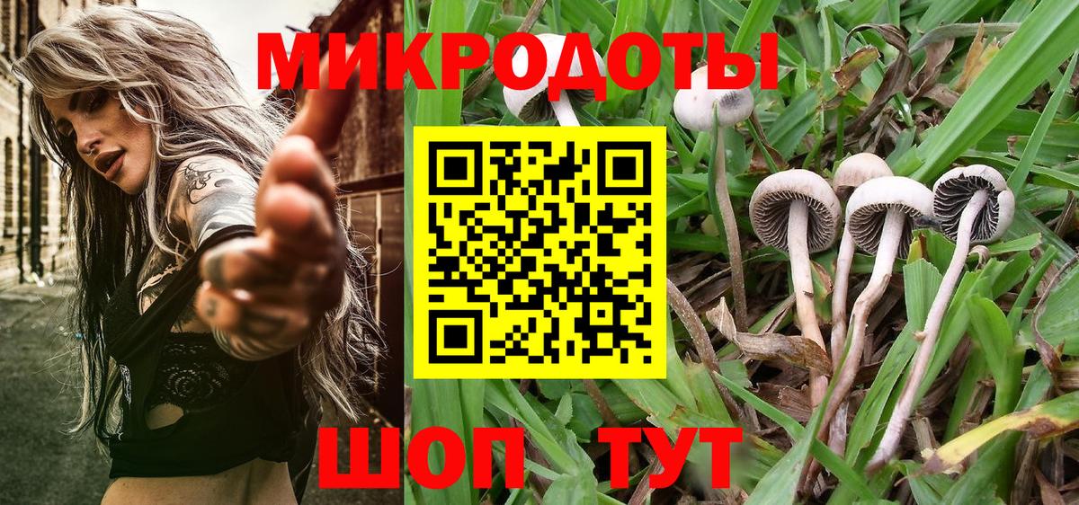Псилоцибиновые грибы мицелий  Псилоцибиновые грибы MAGIC MUSHROOMS  наркошоп  Вход с VPN  Ржев 